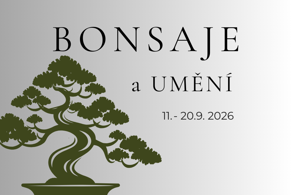 Bonsai und Kunst